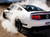 Ford Mustang Boss 302