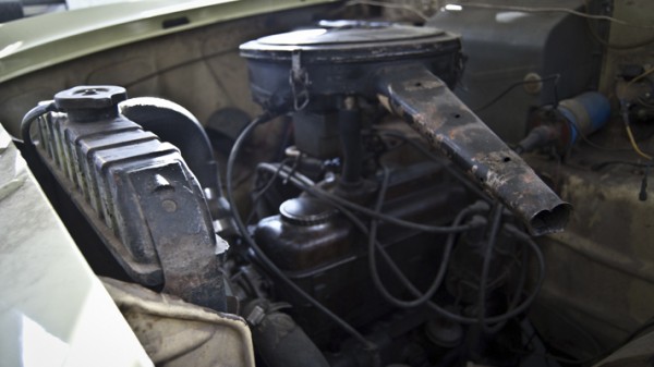 Richard Hammond a jeho oliver Richard Hammond a jeho oliver