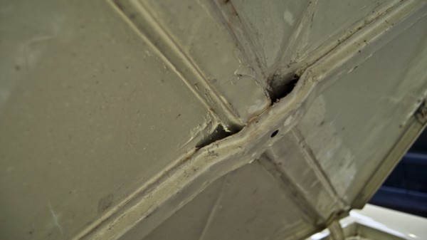 Richard Hammond a jeho oliver Richard Hammond a jeho oliver