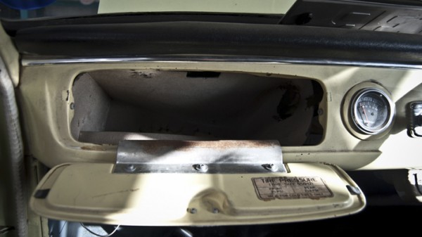 Richard Hammond a jeho oliver Richard Hammond a jeho oliver