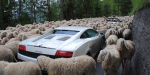 Lamborgini v zácpě