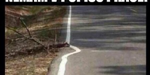 Odklízení větví nemám v popisu práce